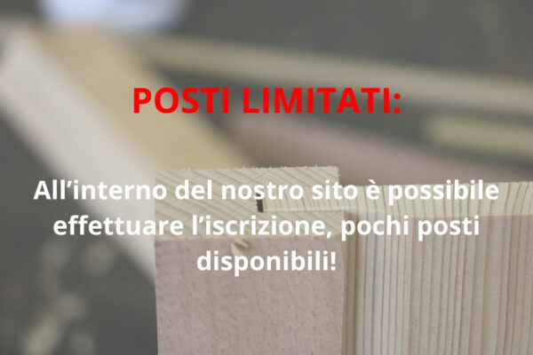 Corso di Falegnameria Workshop Tre Giorni con Giacomo Malaspina - Venerdì 26, Sabato 27 e Domenica 28 Aprile 2024 - immagine 9